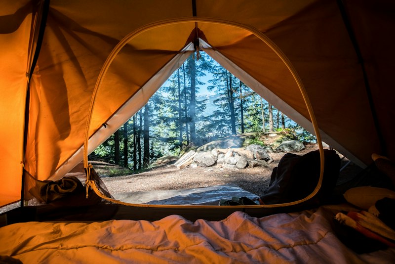 Tent under stars in forest